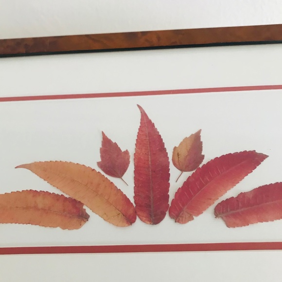 Signed vintage Leaf Art Framed in Lacquered Burled Wood - Picture 9 of 13